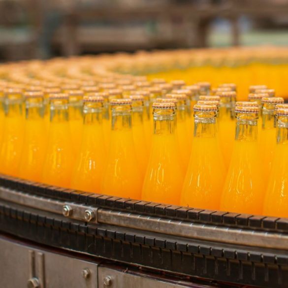 Orange Soda on Conveyor Belt in Beverage Facility