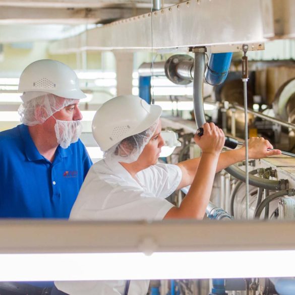 Two AIB International auditors using a mirror to inspect food manufacturing equipment