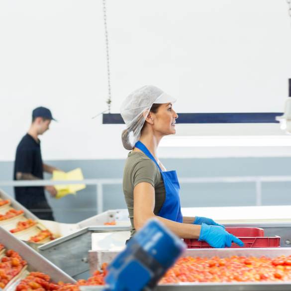 Woman wearing hair net carrying a tray of food in a facility